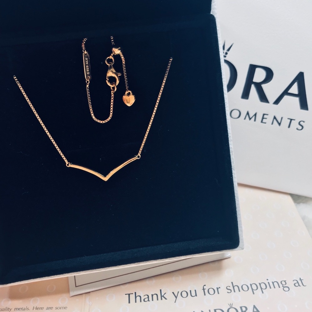 Pandora necklace